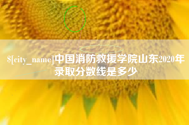 常州中国消防救援学院山东2020年录取分数线是多少