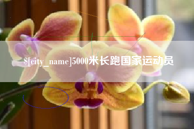 常州5000米长跑国家运动员