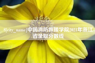 常州中国消防救援学院2021年浙江省录取分数线