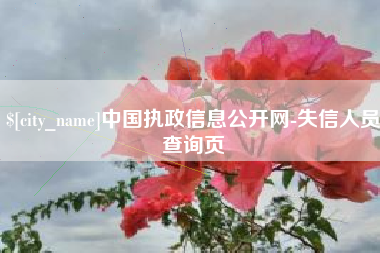 常州中国执政信息公开网-失信人员查询页