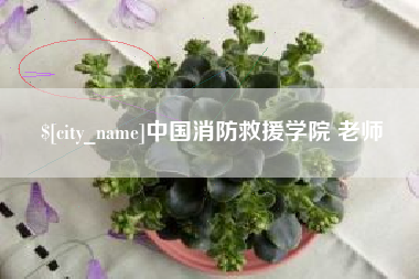 常州中国消防救援学院 老师
