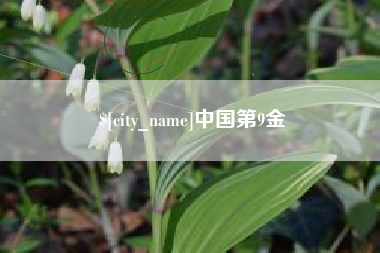 常州中国第9金