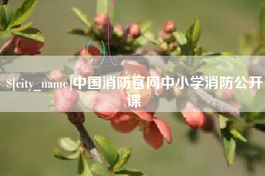 常州中国消防官网中小学消防公开课