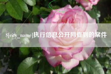 常州执行信息公开网查到的案件