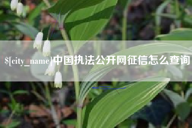 常州中国执法公开网征信怎么查询