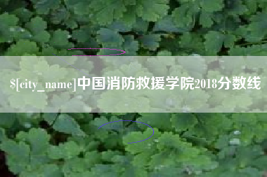 常州中国消防救援学院2018分数线