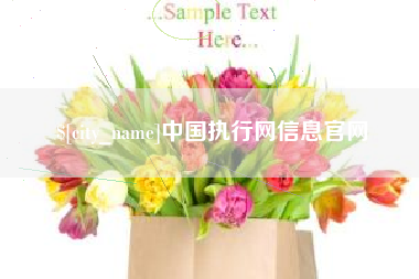 常州中国执行网信息官网