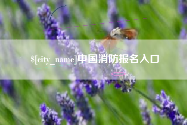常州中国消防报名入口