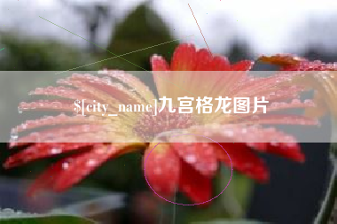 常州九宫格龙图片