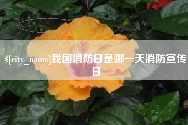 常州我国消防日是哪一天消防宣传日