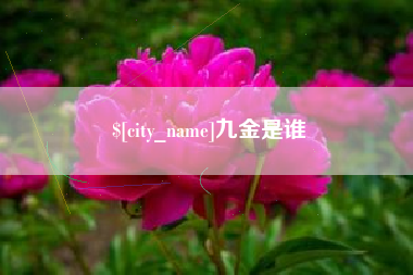 常州九金是谁