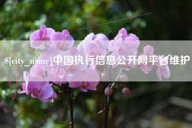 常州中国执行信息公开网平台维护