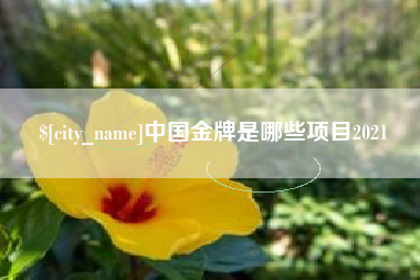 常州中国金牌是哪些项目2021