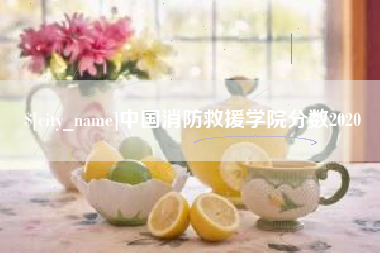 常州中国消防救援学院分数2020
