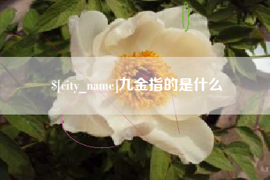 常州九金指的是什么