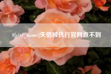 常州失信被执行官网查不到