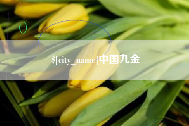 常州中国九金