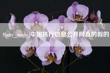 常州中国执行信息公开网真的假的