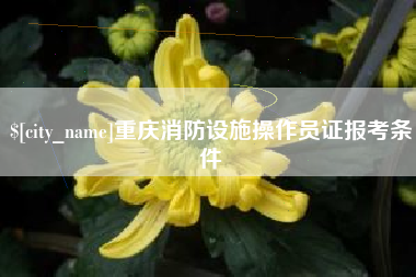 常州重庆消防设施操作员证报考条件