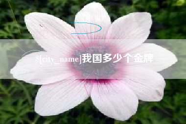常州我国多少个金牌