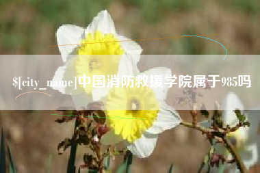 常州中国消防救援学院属于985吗