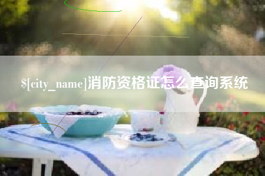 常州消防资格证怎么查询系统