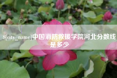 常州中国消防救援学院河北分数线是多少