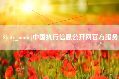 常州中国执行信息公开网官方服务