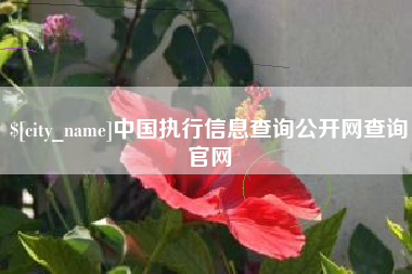 常州中国执行信息查询公开网查询官网