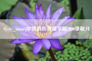 常州中国消防救援学院2020录取分