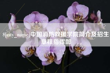 常州中国消防救援学院简介及招生章程指挥部