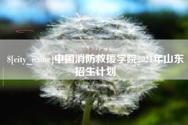 常州中国消防救援学院2021年山东招生计划