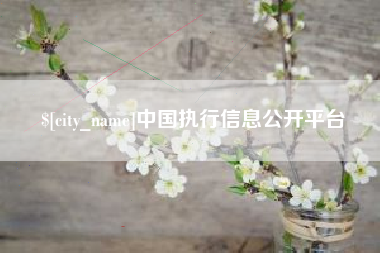 常州中国执行信息公开平台