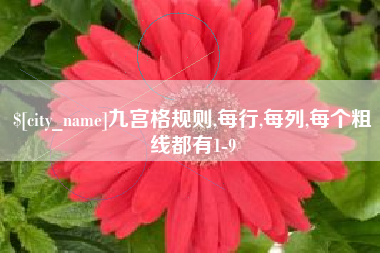 常州九宫格规则,每行,每列,每个粗线都有1-9