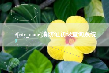 常州消防证初级查询系统