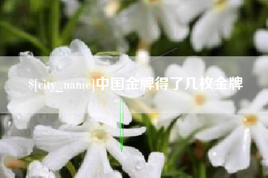 常州中国金牌得了几枚金牌