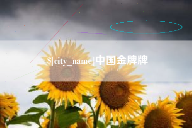 常州中国金牌牌