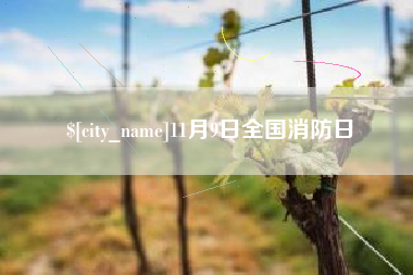 常州11月9日全国消防日