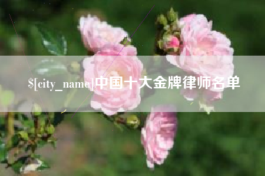 常州中国十大金牌律师名单