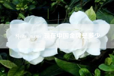 常州现在中国金牌是多少