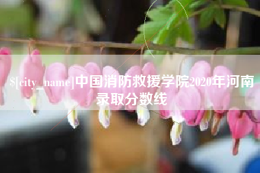 常州中国消防救援学院2020年河南录取分数线