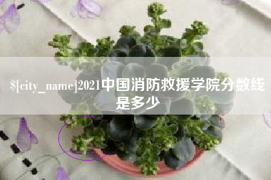 常州2021中国消防救援学院分数线是多少