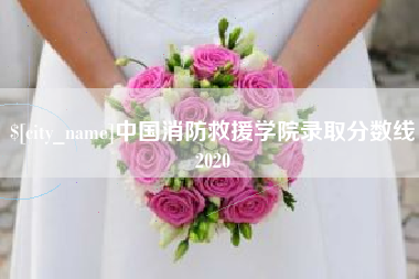 常州中国消防救援学院录取分数线2020