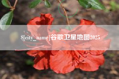 常州谷歌卫星地图2025