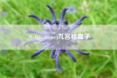 常州九宫格盘子