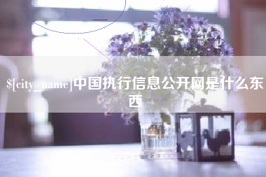 常州中国执行信息公开网是什么东西