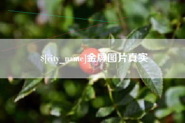 常州金牌图片真实