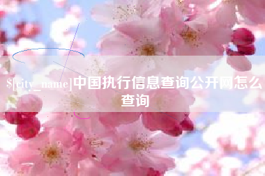 常州中国执行信息查询公开网怎么查询