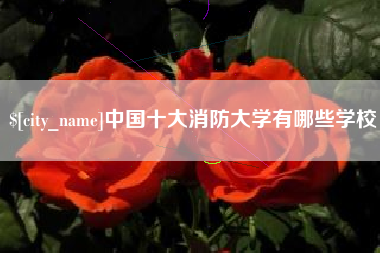 常州中国十大消防大学有哪些学校
