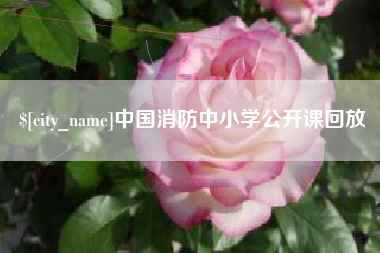 常州中国消防中小学公开课回放